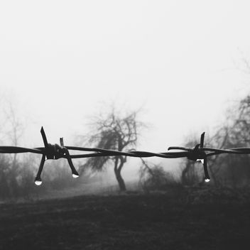 Morning - image gratuit #272295